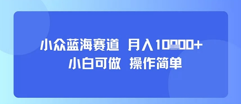 小众蓝海赛道，小白可做，操作简单，每天30分钟，月入1W+-KAI的视界