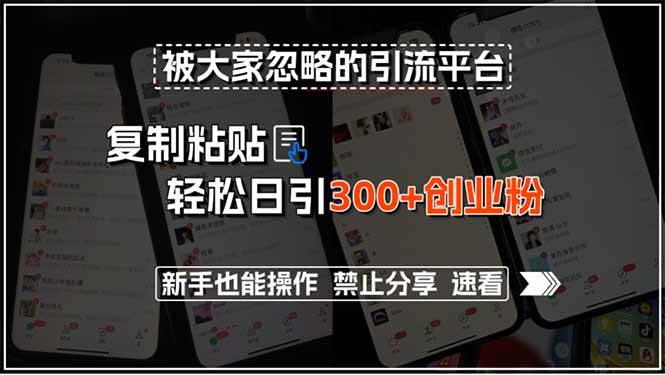 （15428期）被大家忽略的引流平台，复制粘贴轻松日引300+创业粉，新手也能操作，禁…-KAI的视界