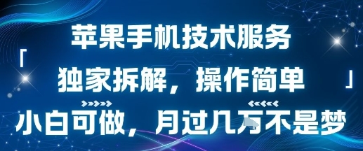 苹果手机技术服务，独家拆解，操作简单，小白可做，月过1W不是梦-KAI的视界