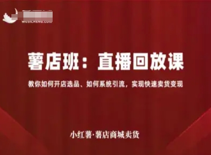 小红薯薯店商城卖货直播回放课，教你如何开店选品、如何系统引流，实现快速卖货变现-KAI的视界