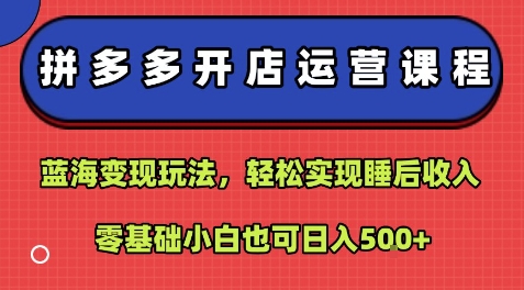 拼多多开店运营课程：蓝海变现玩法，轻松实现睡后收入，零基础小白也可日入5张-KAI的视界