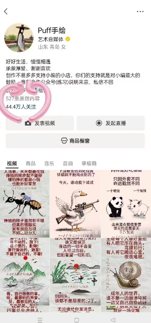 Puff手绘视频号分成项目，三天过分成计划，简单易上手，适合新手-KAI的视界