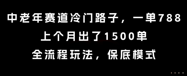 中老年赛道冷门路子，一单788，上个月出了1500单，全流程玩法，保底模式【揭秘】-KAI的视界