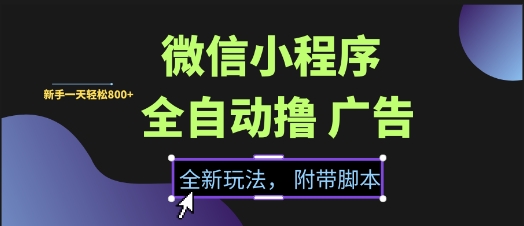 微信小程序全自动撸广告项目，彻底解决没流量的问题，新手一天8张+【揭秘】-KAI的视界
