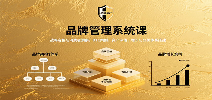 品牌管理系统课：战略定位与消费者洞察，DTC案例、资产评估，增长与公关体系搭建-KAI的视界