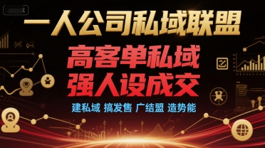 一人公司私域联盟，高客单私域，强人设成交，建私域 搞发售 广结盟 造势能-KAI的视界