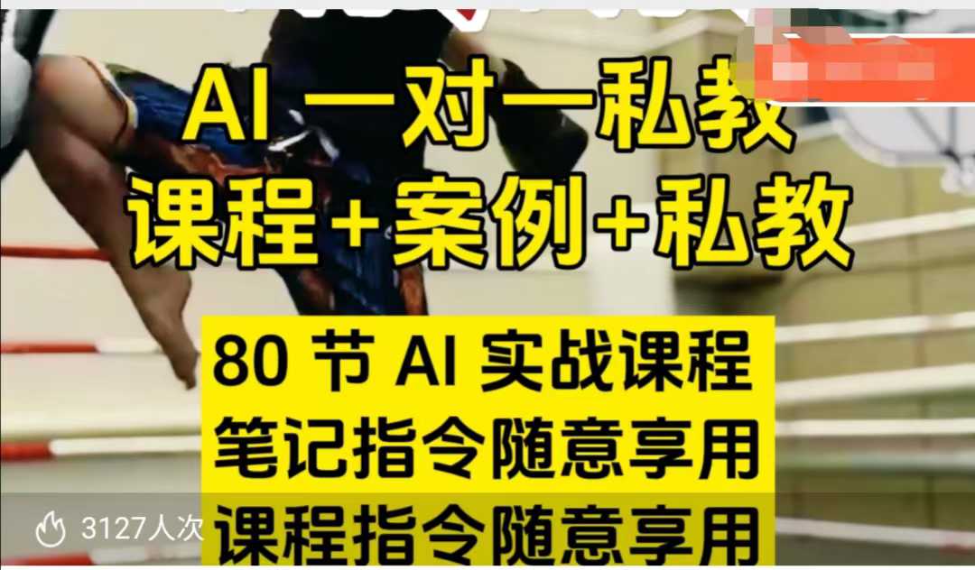 AI指令实战课，课程+案例，80节AI实战课程，笔记指令随意享用，课程指令随意享用（更新7月）-KAI的视界