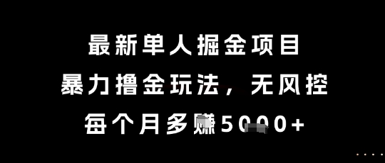 最新单人掘金项目，暴力撸金玩法，无风控，每个月多挣5k+【揭秘】-KAI的视界