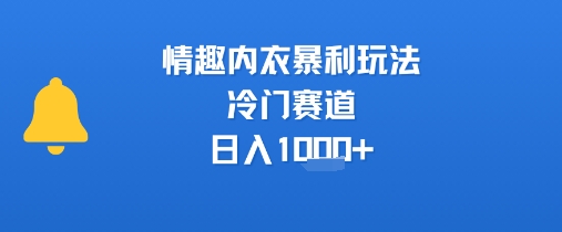 情趣内衣暴利玩法，冷门赛道，日入1k+-KAI的视界