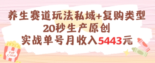 养生赛道玩法私域+复购类型，20秒生产原创实战单号月收入5k+-KAI的视界