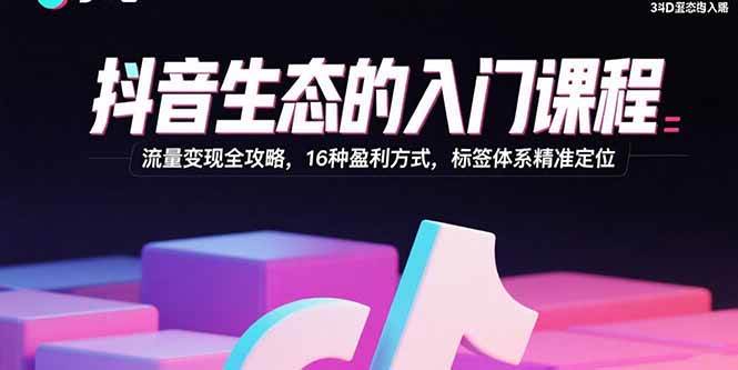 （15856期）抖音生态的入门课程：流量变现全攻略，16种盈利方式，标签体系精准定位-KAI的视界