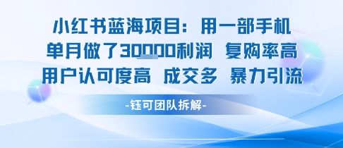 小红书蓝海项目，一部手机单月做了3W利润，小白也能月入过1W用户认可度高成交多-KAI的视界