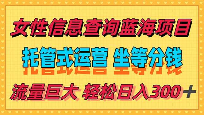 （15216期）稳定日入300＋，小众信息查询蓝海项目，全程懒人式托管，解放你的时间-KAI的视界