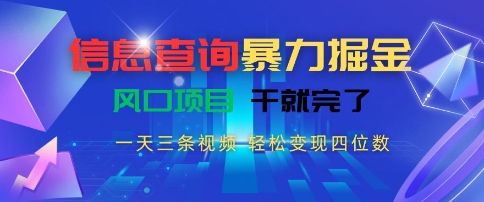 信息查询暴力掘金，一天三条视频，轻松变现四位数，风口项目干就完了【揭秘】-KAI的视界