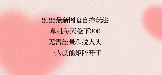 2025最新网盘自撸玩法，单机每天稳下3张，无需流量和拉人头，一个人就可轻松矩阵，全网独一份【揭秘】-KAI的视界