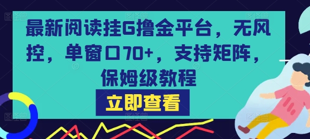最新阅读挂G撸金平台，无风控，单窗口70+，支持矩阵，保姆级教程【揭秘】-KAI的视界