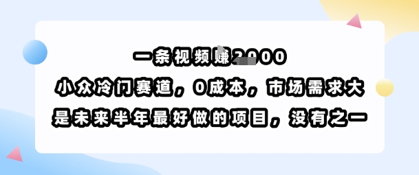 一条视频挣1k，小众冷门赛道，0成本，市场需求大，是未来半年最好做的项目，没有之一-KAI的视界
