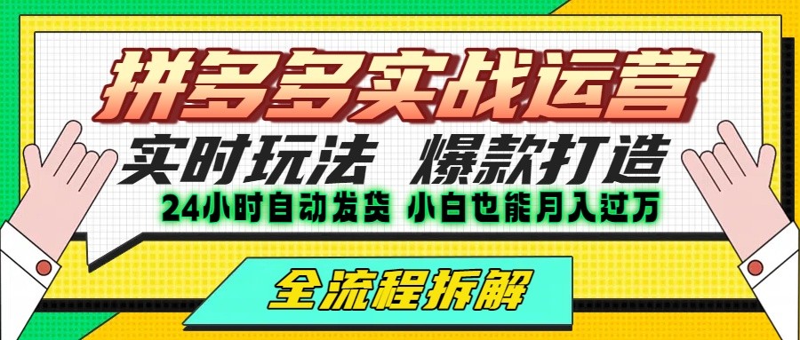 拼多多最新实战运营高投产：长久稳定项目，单店利润一天三位数-KAI的视界