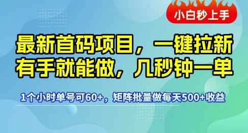 最新首码项目，一键拉新有手就能做，几秒钟一单，1个小时单号可60+，矩阵批量做每天5张【揭秘】-KAI的视界