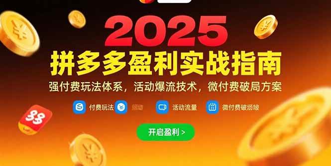（15357期）拼多多盈利实战指南，强付费玩法，活动爆流技术，微付费破局方案(更新7月)-KAI的视界