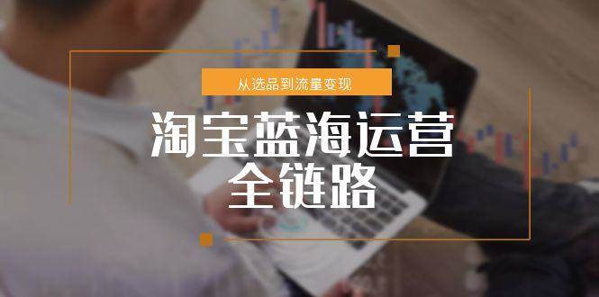 （15160期）淘宝蓝海运营全链路，从选品到流量变现，小类目突围完整方案-KAI的视界