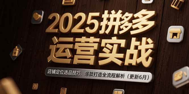 （15235期）2025拼多多运营实战：店铺定位选品技巧，爆款打造全流程解析（更新6月）-KAI的视界