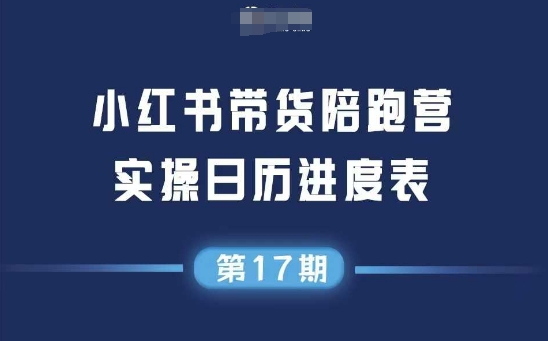 小红书第17期带货陪跑营，不囤货，无不直播，无不投流，通过选品+笔记内容+测品+笔记铺量+矩阵运营打爆款-KAI的视界
