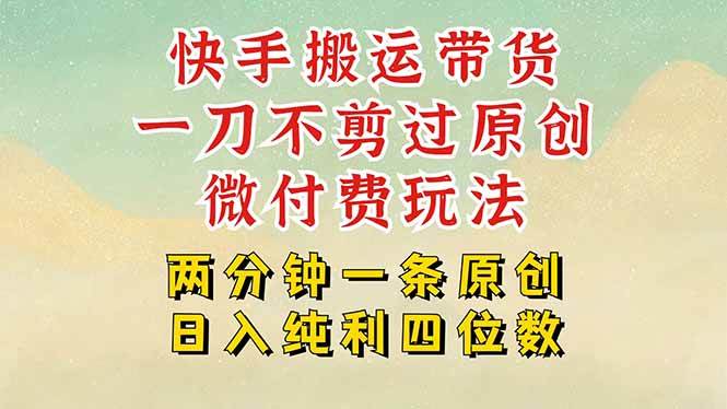 （15577期）快手黑科技搬运带货，一刀不剪过原创，微付费投流玩法，轻松日入四位数…-KAI的视界
